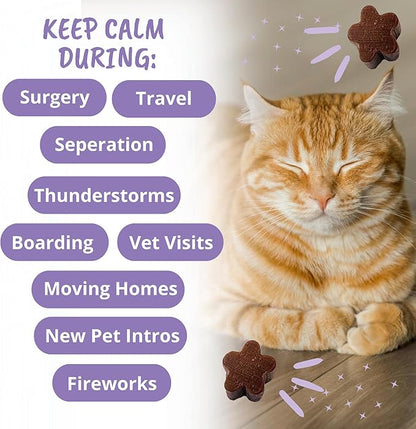 Under the Weather Pets | Natural Calming for Cats, 60 Soft Chews |áIngredients Include Thiamine, Normal Nervous System Function | L-Theanine Relaxation, Sleep | L-Tryptophan an Converted to Serotonin