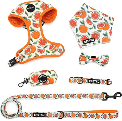 Small Dog Harness and Leash Set of 6, No Pull Soft Lightweight Mesh Puppy Harness， Adjustable Cute Floral Pattern Pet Harness for Small Medium Dogs (Orange, M)