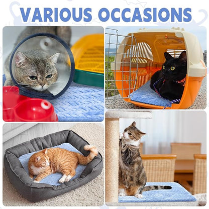 Drydiet 4 Pack Self Warming Cat Bed Mat Self Heating Pad for Dog Extra Warm Winter Pet Pad Washable Thermal Pads Mats for Pets Indoor Outdoor(Blue,16 x 20 Inch)