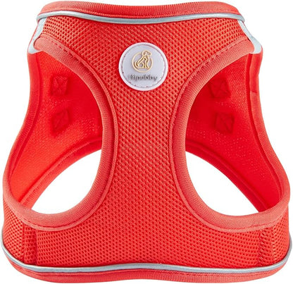 Hipubby Dog Harness and Leash Set, No Pull Soft Mesh Puppy Harness for Small Medium Dogs, Cats - Step in Reflective Breathable Lightweight Vest Harness for Walking, Training - Red, XXS