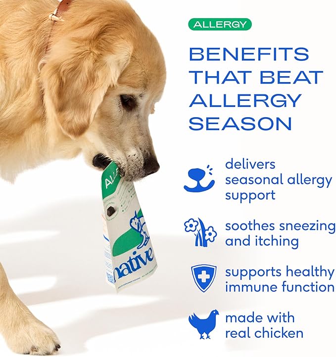 Native Pet Dog Allergy Chews - Dog Allergy Relief for Medium Breeds - Supports Seasonal Itch Relief, Healthy Immune Function & Reduces Sneezing - Colostrum, Spirulina, & Probiotics - 30 Days Supply