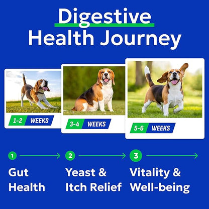Bark&Spark Dog Probiotics & Digestive Enzymes (Gut Health) Allergy & Itchy Skin - Pet Diarrhea Gas Treatment Upset Stomach Relief, Digestion Health Prebiotic Supplement Tummy Treat (180Ct Chicken)