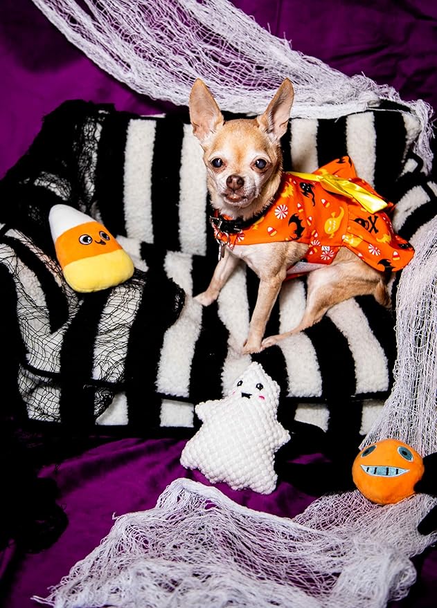 Glow Pups Dog Sofa, Cozy & Calming Pet Beds, 3-Sided Sofa Design with Faux Lambswool Cushion, Machine Washable Cotton Blend, Black/White Striped X-Large Pet Bed for Ultimate Comfort