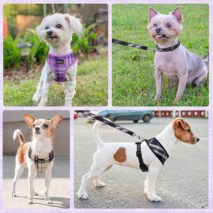 SCENEREAL No Pull Dog Harness Collar and Leash Set Small Medium Sized Dog, Soft Mesh Puppy Harnesses, No Chock Plaid Adjustable Pet Vest for Outdoor Walking Training and Running, Black M