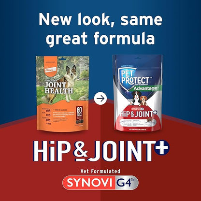 Pet Protect Dog Hip & Joint+ Supplement for Active & Aging Dogs, Vet-Formulated Synovi G4, Dog Glucosamine, Chicken-Flavored Soft Chews (240 Count)