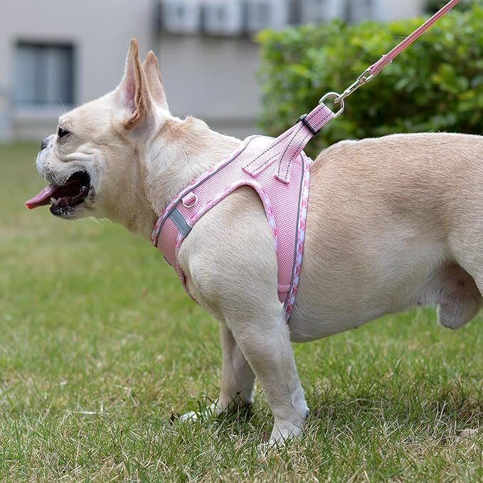 Mercano Soft Mesh Dog Harness and Leash Set, No-Chock Step-in Reflective Breathable Lightweight Easy Walk Vest Harnesses with Safety Buckle for Small Dogs, Cats (Pink, S)