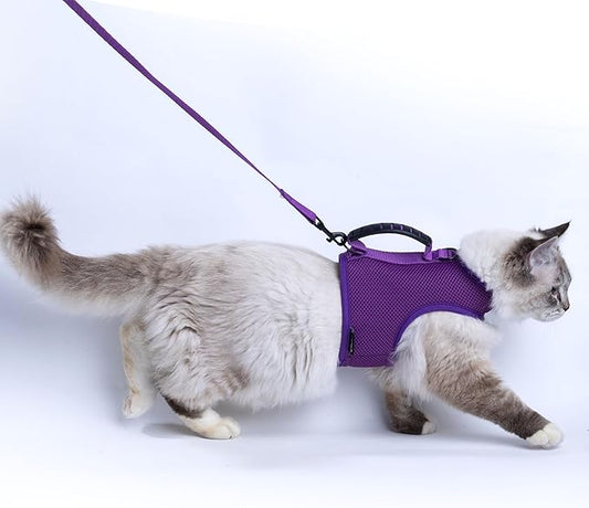 Kitty Harness and Leash for Walking Escape Proof Breathable Mesh Fabric, Purple, X-Small, Adjustable Cat Walking Jackets with Handle, Padded Stylish Cat Vest