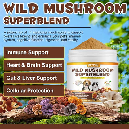Mushroom Powder for Dogs & Cats, Natural Pet Supplement Mushroom Powder Support Immune, Heart, Brain & Liver with Turkey Tail, Reishi, Lion's Mane for Cellular Protection, Bacon Flavor - 4.23 oz(120g)