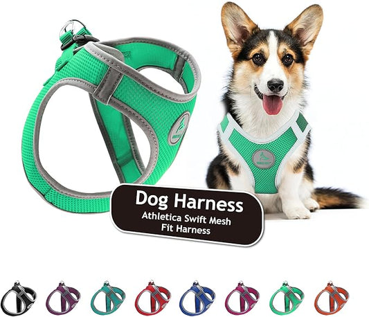 Kruz Dog Harness (Chest 20.5"-22", Weight 20–25 lbs) Athletica Adjustable Heavy Duty No Choke Puppy Vest for Small Dogs Lightweight Air Mesh, Reflective, Puppy Essentials – Mint Green, X-Large