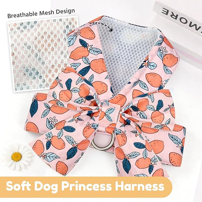 BAEJMJK Dog Harness and Leash Set with Bow Knot No Pull Pet Floral Harness with D-Ring Soft Mesh Dog Harness Vest Set Escape Proof Princess Puppy Harness for Small Girl Dogs Cats（Orange L）