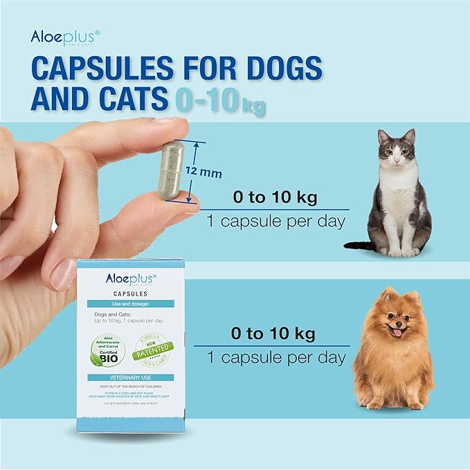 Cats & Dogs Capsules—an Energetic, detoxifying Supplement with Organic Aloe Arborescens. Supports Immunity for Puppies, Adult and Senior Pets, Helps Improve Appetite. 60 Capsules