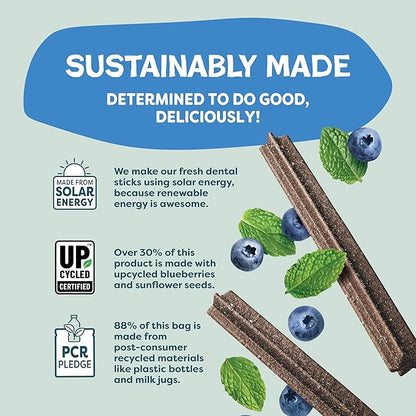 Shameless Pets Blueberry & Mint Dental Chews for Dogs, 32 Chews - Natural Dog Teeth Cleaning Treats with Fresh Breath Benefits | Grain-Free Dental Sticks for Small, Medium & Large Dogs