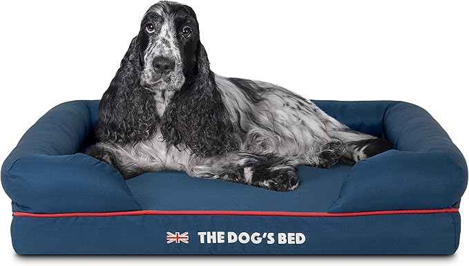 The Dog’s Bed Orthopedic Memory Foam Dog Bed with Bolsters for Medium Dogs, High Density Support Mattress, Low Front Entry, Removable Washable Cover, Oxford Fabric, Blue with Dark Red Trim, Medium
