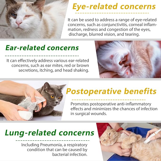 Natural Antibiotics for Cats, Antibiotic Liquid Drops Helps Immune System, Cat Antibiotic Supports Allergy Relief, Itching & UTI, Pet Health Supplies Multivitamins, Chicken Flavour - 4 Fl Oz / 2 Pack