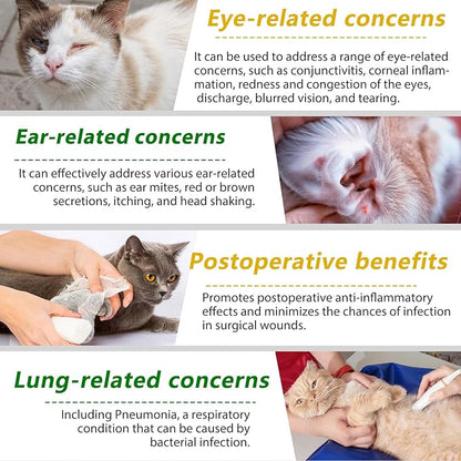 Natural Antibiotics for Cats, Antibiotic Liquid Drops Helps Immune System, Cat Antibiotic Supports Allergy Relief, Itching & UTI, Pet Health Supplies Multivitamins, Chicken Flavour - 4 Fl Oz / 2 Pack