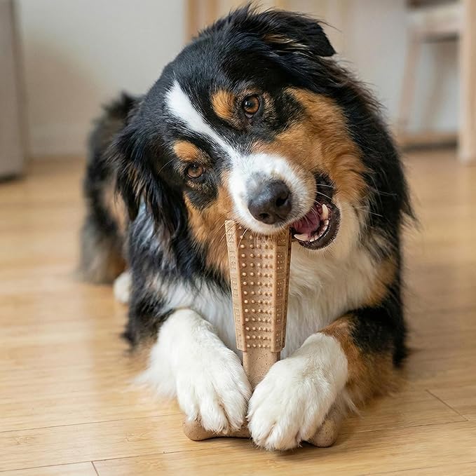 SPOT Bam-Bones Plus Coffee Wood T-Bone Dog Chew Toy, Chicken Flavor, Nylon and Coffee Wood Fiber Blend, Durable Chew for Heavy Chewers and Dogs Under 60 lbs, Non-Splintering Dental Chew, 6 Inch