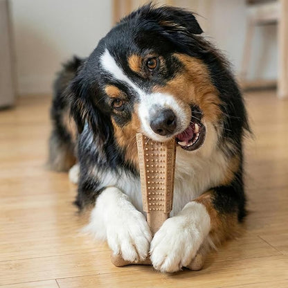 SPOT Bam-Bones Plus Coffee Wood T-Bone Dog Chew Toy, Chicken Flavor, Nylon and Coffee Wood Fiber Blend, Durable Chew for Heavy Chewers and Dogs Under 60 lbs, Non-Splintering Dental Chew, 6 Inch
