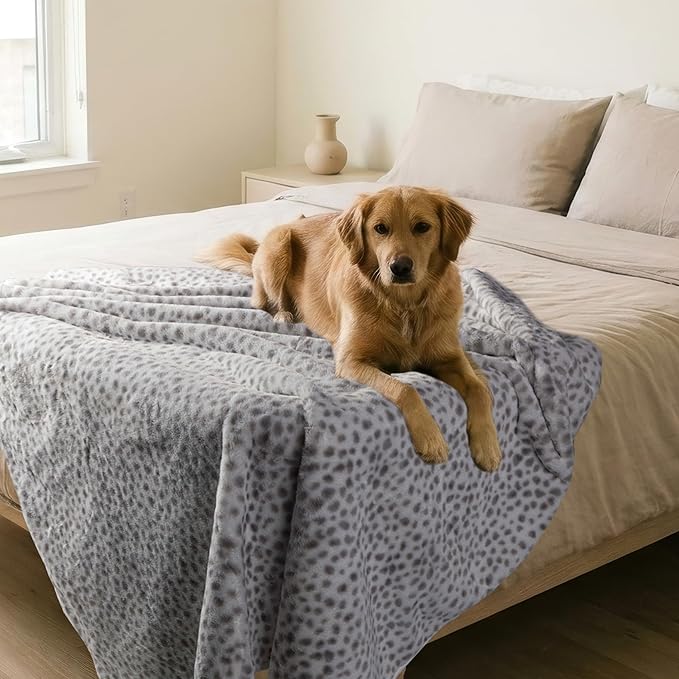 Waterproof Blanket for Bed, Couch, or Car - 60” x 80” Reversible Queen Size Throw Blanket for Reliable Leakproof Furniture Protection - Washable Pet Throws by Lavish Home (Snow Leopard Print)