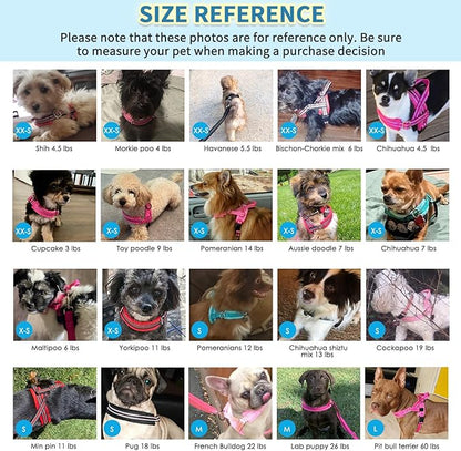 SlowTon No Pull Small Dog Harness and Leash Set, Puppy Soft Vest Harness Neck & Chest Adjustable, Reflective Lightweight Harness & Anti-Twist Pet Lead Combo for Small Medium Dogs (Fuchsia, XXS)
