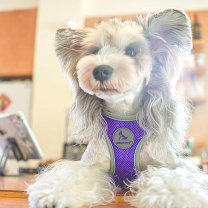 Kruz Dog Harness (Chest 13.5"-14", Weight 4–6 lbs) Athletica Adjustable Heavy Duty No Choke Puppy Vest for Small Dogs Lightweight Air Mesh, Reflective, Puppy Essentials – Amethyst, X-Small
