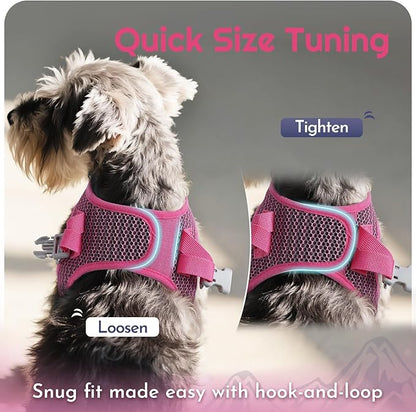 Eagloo Small Dog Harness and Leash Set, Step in Puppy Vest with Breathable Soft Mesh, Walking Reflective Pet Harness for Medium Small Dogs, Rose Red, L