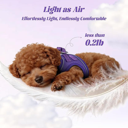 YIMEIS Dog Harness and Leash Set, No Pull Soft Mesh Pet Harness, Reflective Adjustable Puppy Vest for Small Medium Large Dogs, Cats (Purple, Medium (Pack of 1)