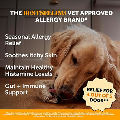 Pet Honesty Health & Allergy Relief Duo — Multivitamin 10-in-1 Chews (90 ct) + Allergy & Itch Relief Chews (90 ct)