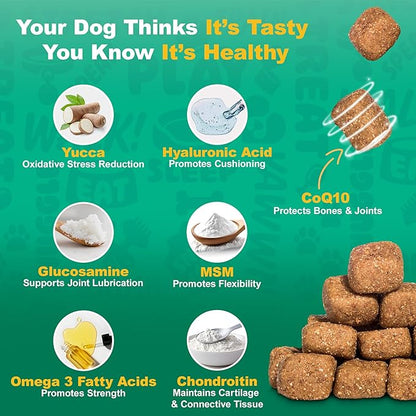 Doggie Dailies, Hip and Joint Supplement for Dogs, Glucosamine Chondroitin, Premium Hip and Joint Chews for Dogs All Breeds & Sizes, Dog Vitamins and Supplements, (Chicken) 225 Chews