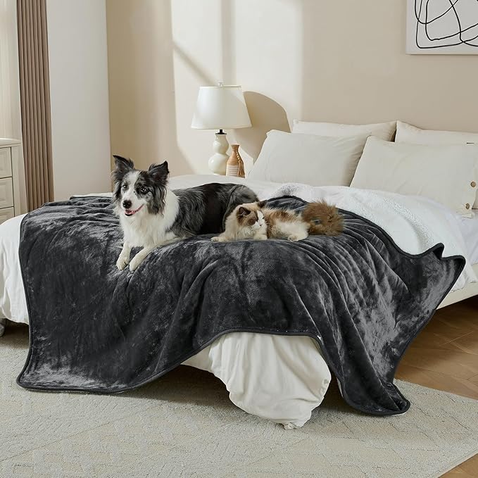 Waterproof Blanket for Bed Couch Sofa, Soft Liquid Pee Proof Pet Blanket for Dog Puppy Cat, Reversible Sherpa Fleece Furniture Protector (Dark Grey, 50x60 inches)