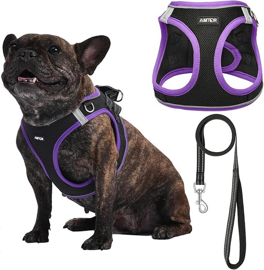 AMTOR Small Dog Harness with Leash Set, No Escape Easy Walk Puppy Harnesses for Training Walking, Step-in Reflective Soft Dogs Vest for XS S Medium Extra-Small Large Sized Dog(XL,Black/Purple)