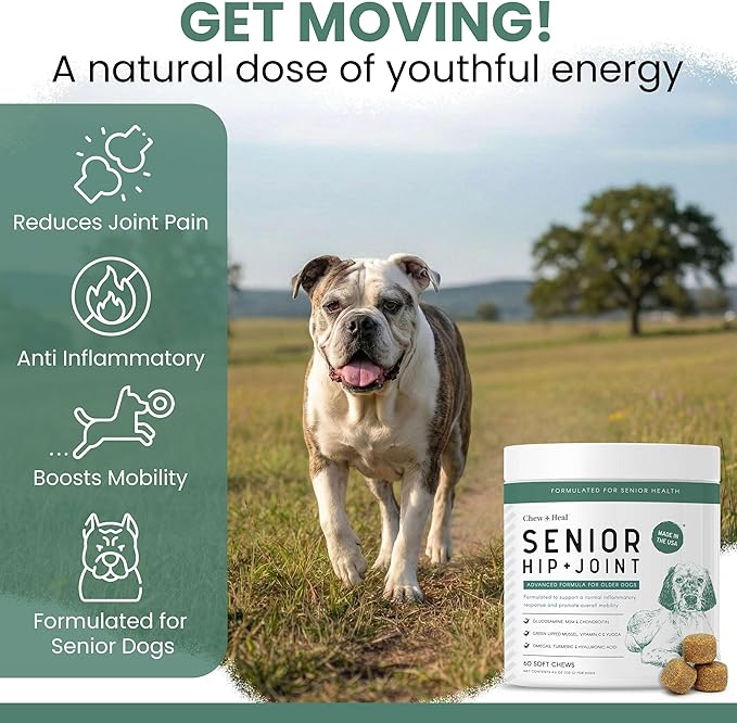 Chew + Heal Labs Glucosamine for Dogs Hip and Joint Supplement - 240 Senior Dogs Mobility Soft Chews - Made with Glucosamine, MSM, Chondroitin, Green Lipped Mussels and More - Made in The USA
