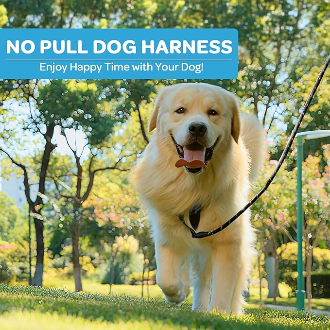 FURRYFECTION Plaid Dog Harness for Large Dogs, Reflective No Pull Adjustable Pet Vest with Front Clip, Leash, Easy Control Handle and Seat Belt, Blue&White, L