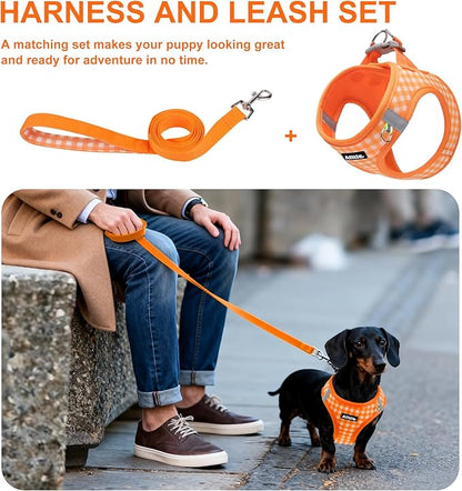 AIITLE Small Dog Harness with Leash – Soft Breathable Mesh, Plaid Pattern & Reflective Strips – Ideal for Training, Running & Party Outings (S, Orange)