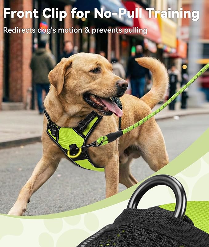 Joytale No Pull Dog Harness for Small Dogs, Reflective Pet Vest with Front Clip, Adjustable Soft Padded Harnesses with Easy Control Handle for Training and Walking, Green, S