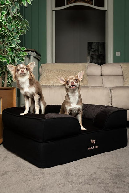 NOAH & PAW Dog Bed, 28x23x11 Inch, Orthopedic Dog Beds for Medium Size Pets, Eggshell Memory Foam Infused with Cooling Gel, Inner Cover, Waterproof, Machine Washable (Denim Sofa Collection)