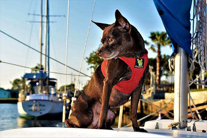 EcoBark Rapid Fastener Super Comfort Fully Adjustable Double Padded Step in Dog Harness (Large, Red)