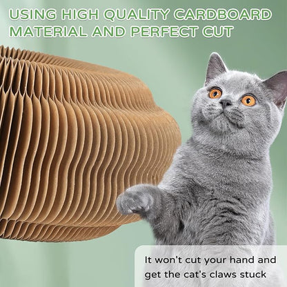 Goosheep 2Pack Kitty Kurlz Magic Organ Cat Scratching Board Cat Accordion Toy Cats Scratching Post Ball Track, Kitten Fun Intelligence Physical Exercise Educational Toy