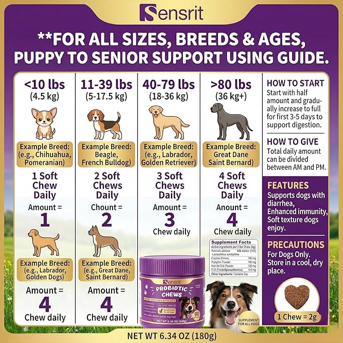 Probiotics for Dogs - 800M CFU Dog Probiotic Chews with Digestive Enzymes & Pumpkin | Seasonal Allergy, Itchy Skin & Immune Support for All Breeds - 90 Soft Chews, Chicken Flavor