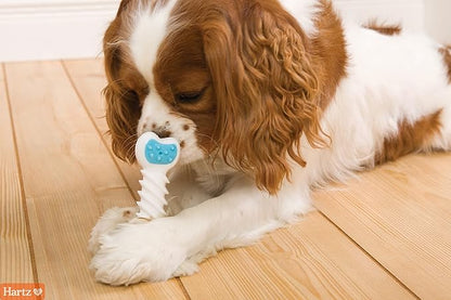 Hartz Chew ‘n Clean Twisty Bone Dog Chew Toy, Bacon Scented for Moderate Chewers, Extra Small (Pack of 2)