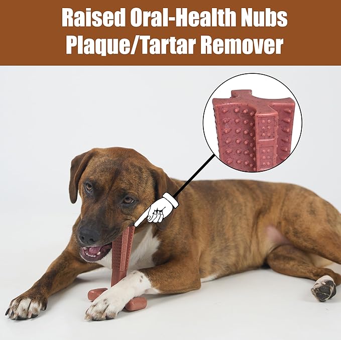 SPOT Bam-Bones Plus Coffee Wood T-Bone Dog Chew Toy, Beef Flavor, Nylon and Coffee Wood Fiber Blend, Durable Chew for Heavy Chewers and Dogs Under 60 lbs, Non-Splintering Dental Chew, 6 Inch