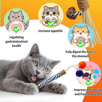 Catnip 6PCS Chew Stick with Wrapped Cotton Rope – Natural Dental Care Cat Toy for Teeth Cleaning & Gum Health, Satisfies Chewing Instincts, Safe & Long-Lasting Kitten Teething Toy