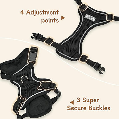 Small Dog Harness and Leash Set, Reflective Soft Breathable Mesh Vest, 3 Buckles, Adjustable Neck and Chest,Step in Dog Harness for Walking, Running, Training, Black, M