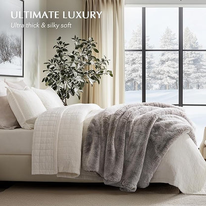 EVERGRACEHOME Luxury Soft Faux Chinchilla Fur Throw Blanket for Couch, Warm Thick Heavy Winter Throw Blanket 1220GSM for Bed, Fluffy Cozy Mink Blanket with Reversible Velvet, Champagne Fawn, 60"x80"