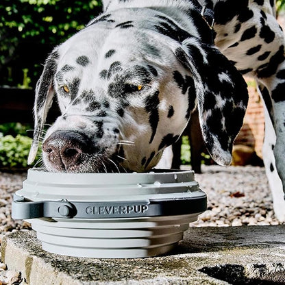 Cleverpup Nomad Large Collapsible Travel Dog Bowl - 4 Cup BPA-Free Silicone for Medium & Large Dogs, Portable, Food & Water, Dishwasher Safe - Grey