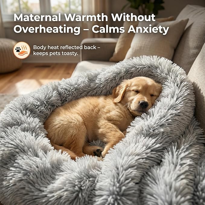 PJYuCien Dog Blanket for Dogs, Puppies and Pets, Lightweight & Portable Fluffy Fleece Throw, Super Soft Plush Cat Blanket for Couch/Car Seat/Furniture, Machine Washable, 60"x80", Grey