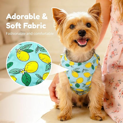 BAEJMJK Dog Harness and Leash Set with Bow Knot No Pull Pet Daisy Floral Harness with D-Ring Soft Mesh Dog Harness Vest Set Escape Proof Princess Puppy Harness for Small Girl Dogs Cats（Green M）