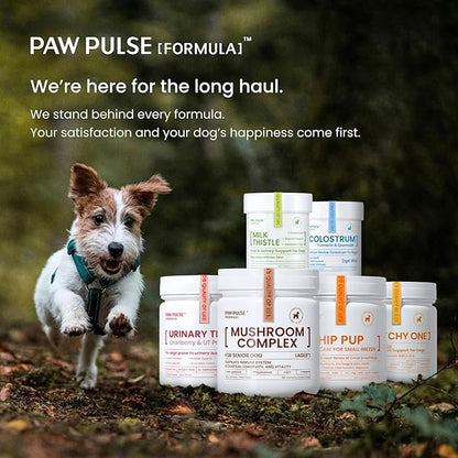 Pawpulse Formula Turkey Tail Mushroom for Dogs - Lipoma, Lumps & Bumps Defense - 7-in-1 Functional Immune Support with Reishi & Lion's Mane - Brain, Vitality, Gut Health & Longevity - 80 Soft Chews