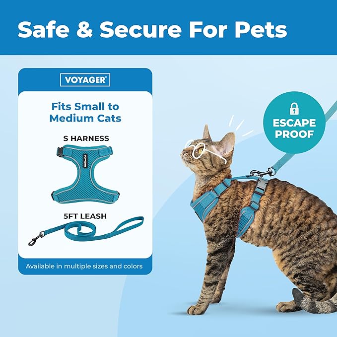 Voyager Escape-Proof Step-in Lock Cat Harness & 5ft Neoprene-Handle Leash Set All-Weather Mesh with Reflective Stitching for Small to Large Cats by Best Pet Supplies, Turquoise (327), S