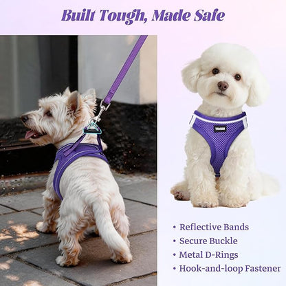 YIMEIS Dog Harness and Leash Set, No Pull Soft Mesh Pet Harness, Reflective Adjustable Puppy Vest for Small Medium Large Dogs, Cats (Purple, Small (Pack of 1)