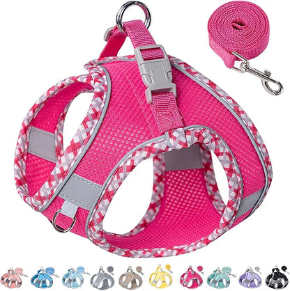 Petank Dog Harness for Small Medium Dogs No Pull, Puppy Harness and Leash Set for Walking, Running, Training, Small Dog Harness, Medium Dog Harness (Rose Red, M)